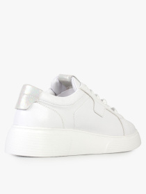 Кеди низькі ModaMilano модель 8401489_(1) Фото