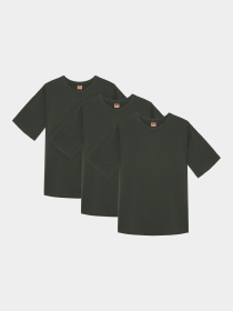 Набор футболок Ейсік Оверсайз модель NabirZelenuy3Sht Фото