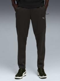 Штаны спортивные PUMA Evostripe Warm Pants модель 688239 Фото