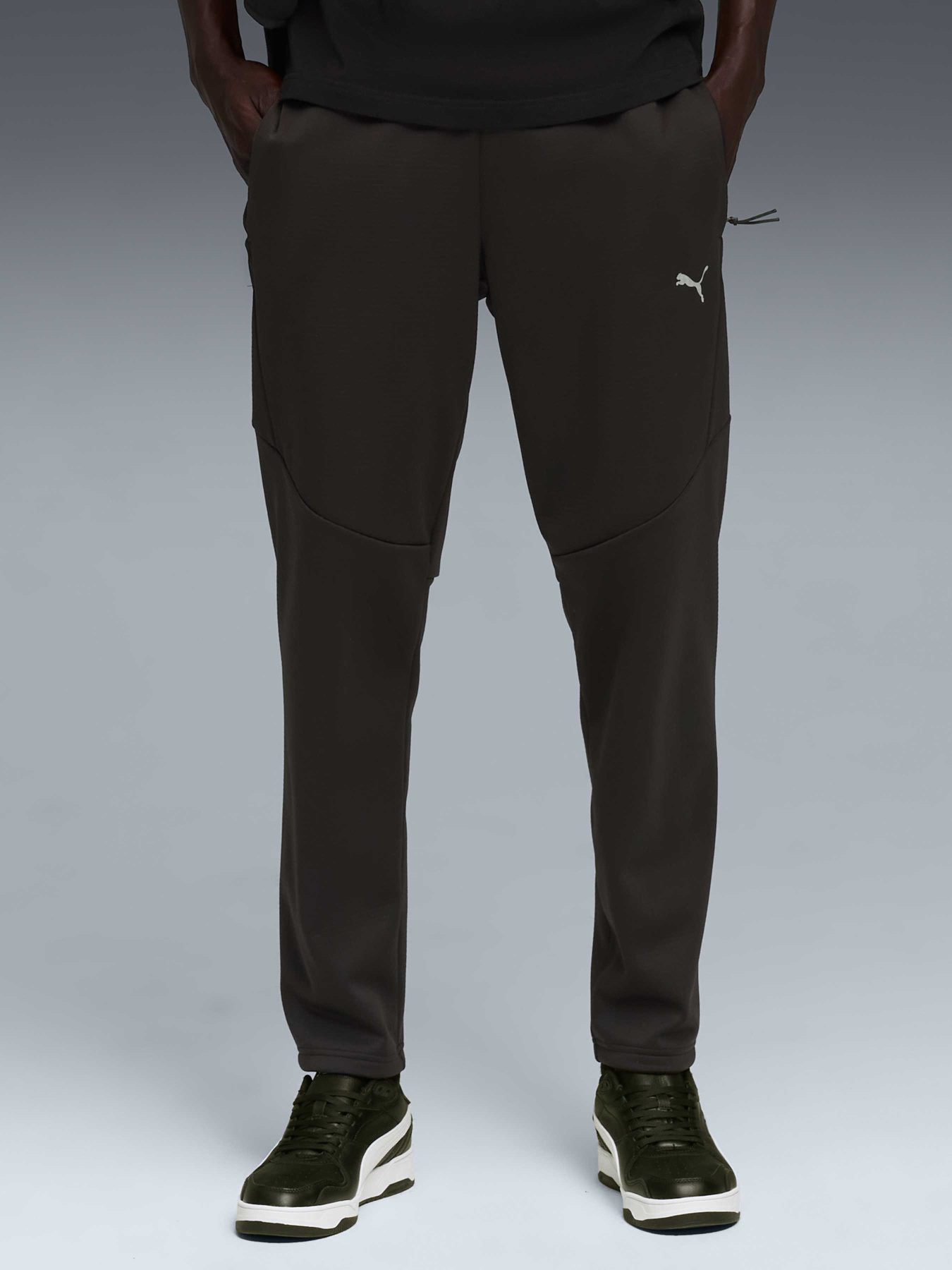 Спортивні штани PUMA Evostripe Warm Pants модель 688239 Спортивні штани PUMA Evostripe Warm Pants модель 688239 Фото