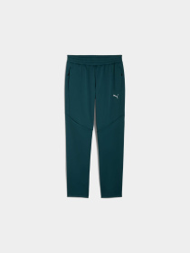 Штани спортивні PUMA Evostripe Warm Pants модель 688239 Фото