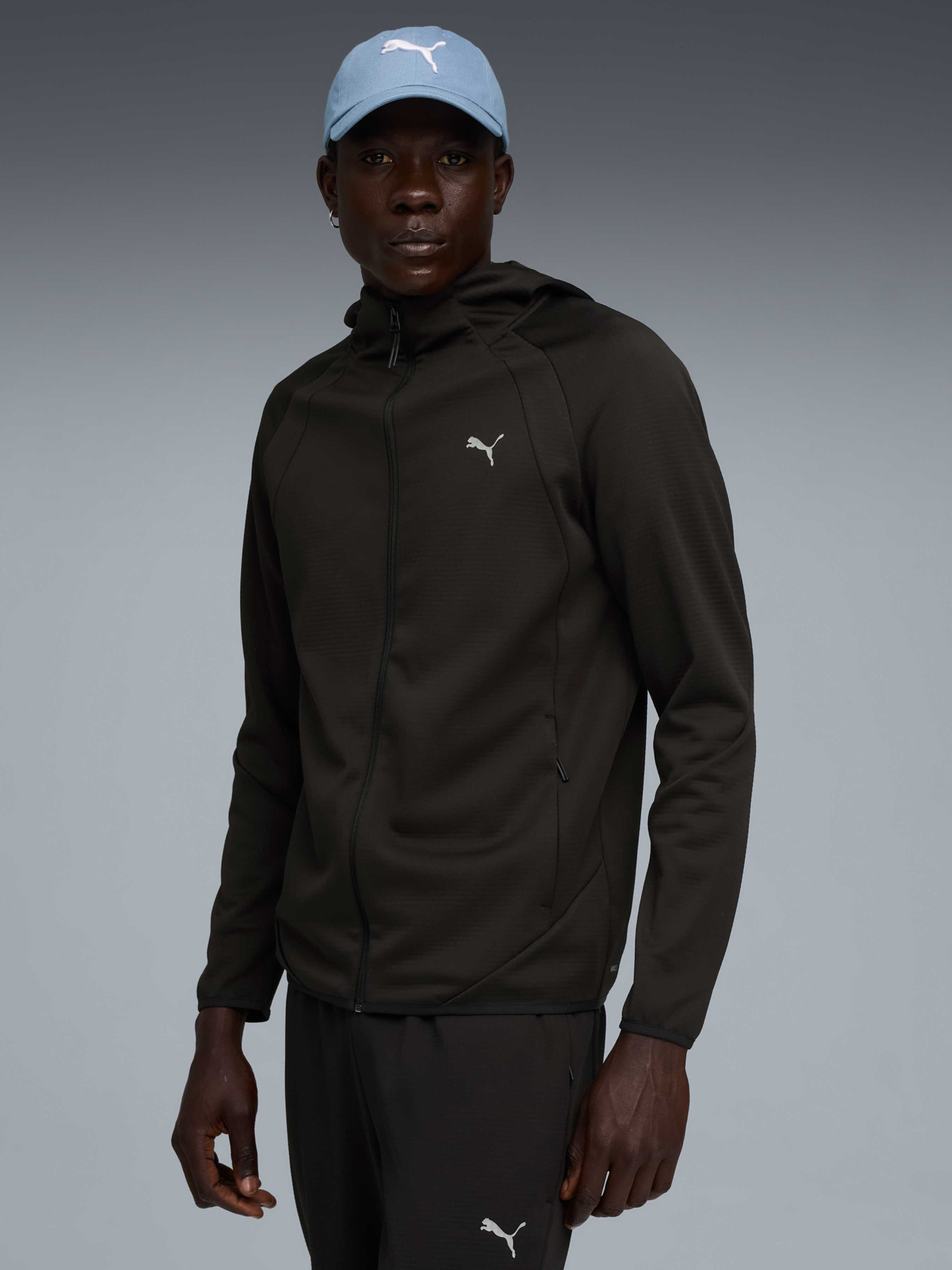 Кофта PUMA Evostripe Warm Fz Hoodie модель 688237 Фото