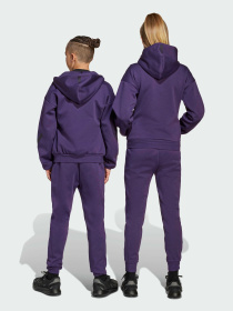 Джоггеры Adidas ZNE модель JW2429 Фото