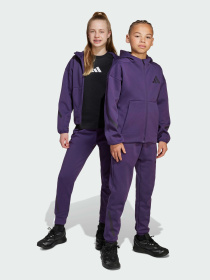 Джоггеры Adidas ZNE модель JW2429 Фото