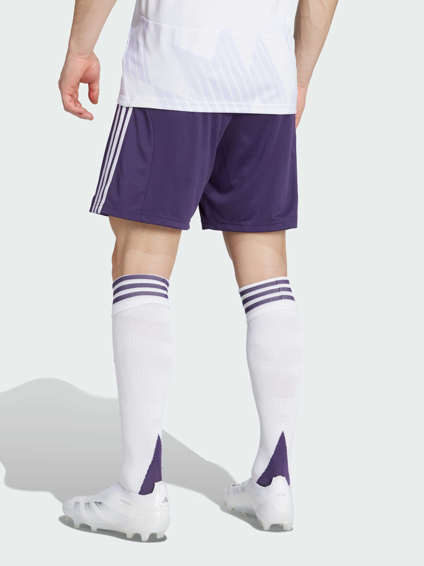 Шорты спортивные Adidas модель KA5443 Фото