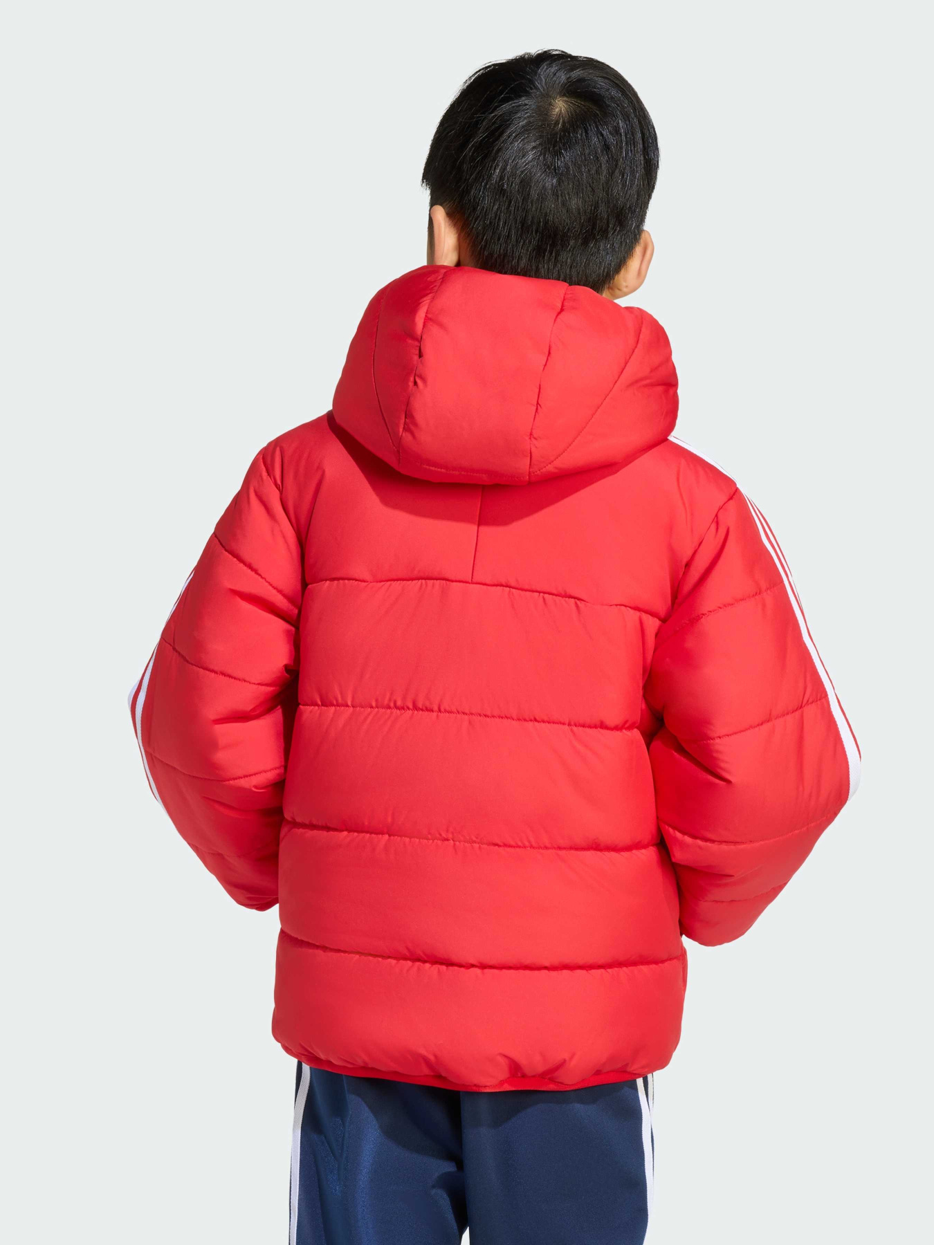 Ветровка Adidas Adicolor модель JV8550 Фото