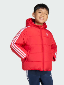 Ветровка Adidas Adicolor модель JV8550 Фото