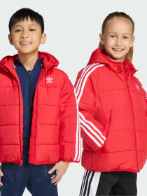 Ветровка Adidas Adicolor модель JV8550 Фото