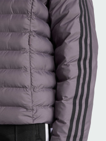 Демисезонная куртка Adidas Adicolor модель JX2938 Фото