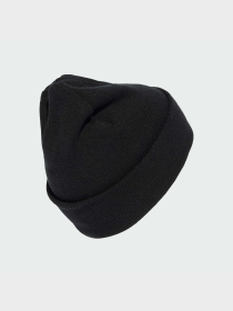 Шапка Adidas модель JW7998 Фото