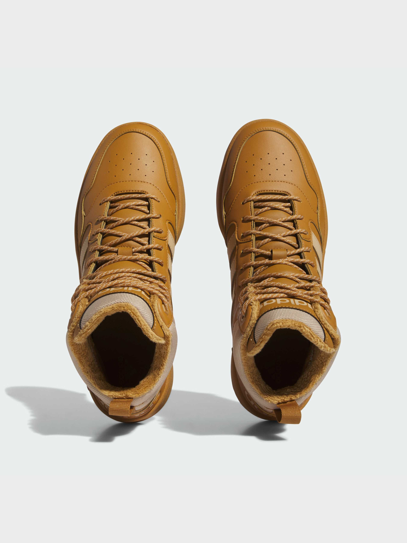 Кросівки Adidas Hoops модель IF2636 Фото