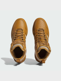 Кросівки Adidas Hoops модель IF2636 Фото