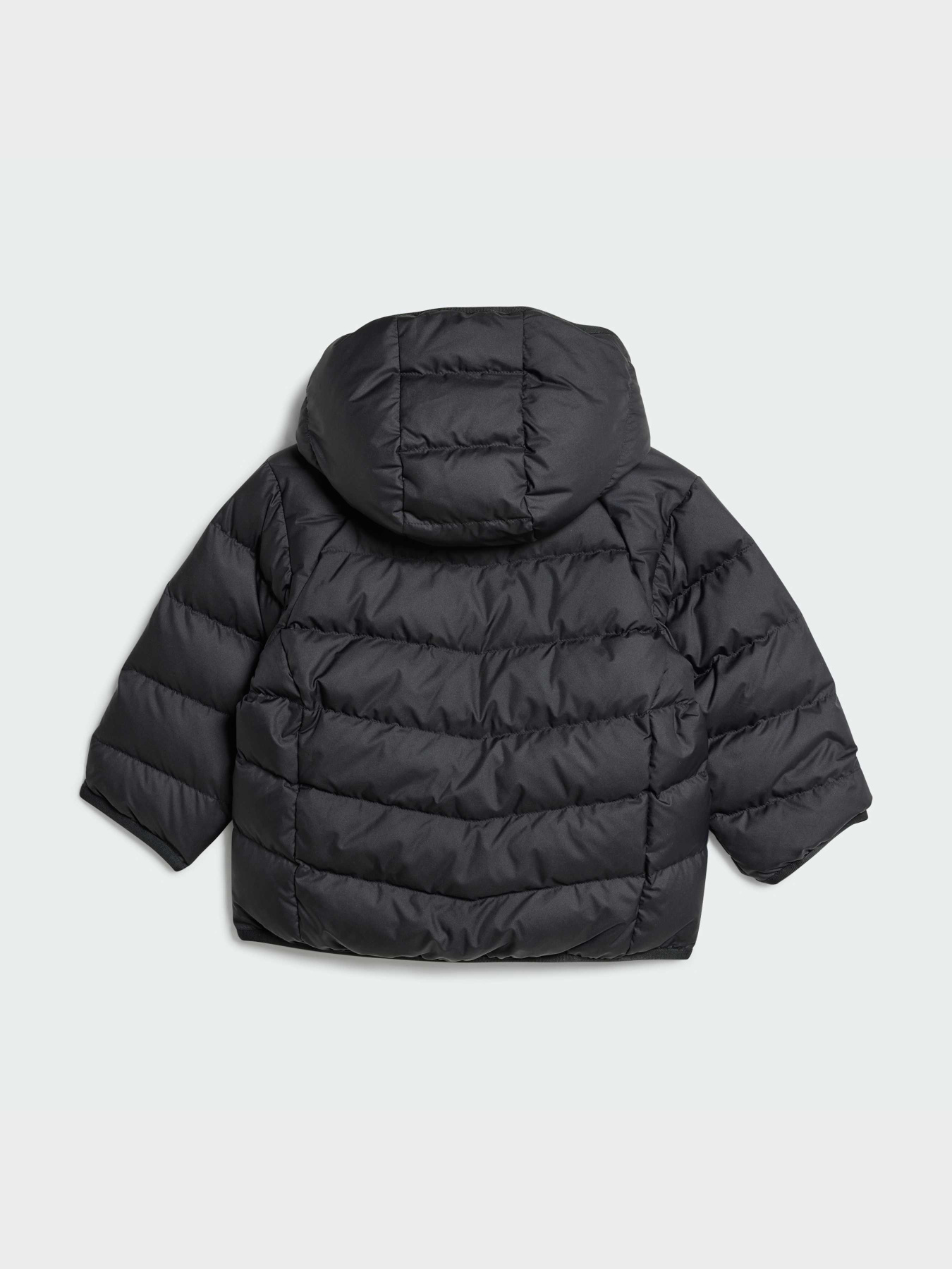 Пуховик Adidas Adicolor модель IX7493 Фото