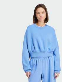 Худі та світшоти Adidas модель JV9895 Фото