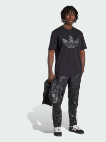 Повседневные штаны Adidas Graphics модель JY2977 Фото