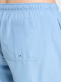 Шорты для плавания Adidas Adicolor модель JX5017 Фото