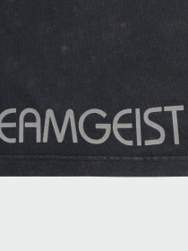 Футболка Adidas модель KF8538 Фото