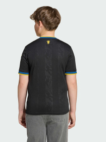 Футболка Adidas модель KD4227 Фото