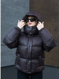 Пуховик Tian модель Stacy-T-BR Фото