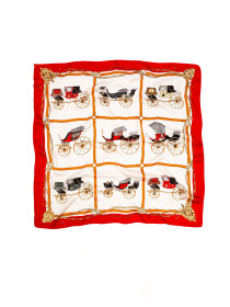 Платок Famo модель APL-405_03 Фото