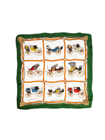 Платок Famo модель APL-405_04 Фото