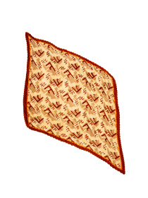 Платок Famo модель APL-238293_01 Фото