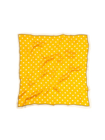 Платок Famo модель APL-400_03 Фото