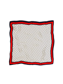 Платок Famo модель APL-1520_02 Фото