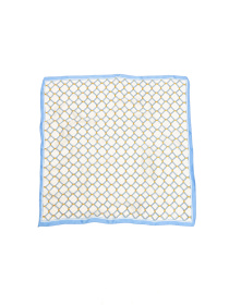 Платок Famo модель APL-418_04 Фото