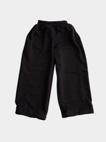 Спортивный костюм Alwair Kids модель 81109 Фото