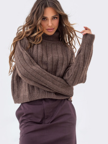 Худи и свитшоты Dressa модель 70579 Худи и свитшоты Dressa модель 70579 Фото