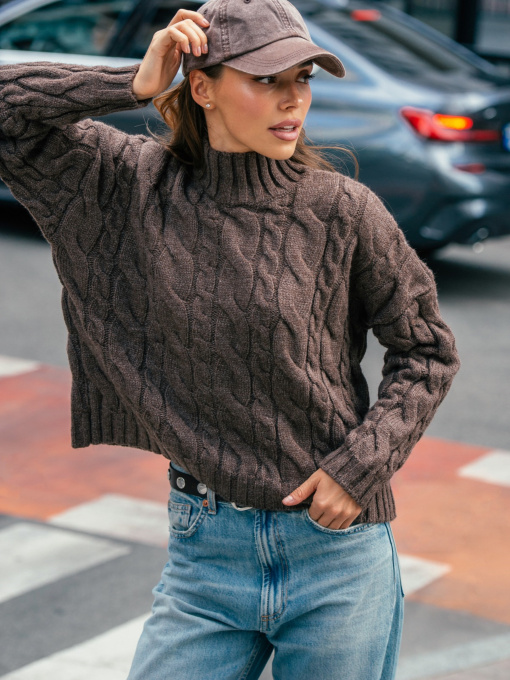 Худи и свитшоты Dressa модель 70573 Фото