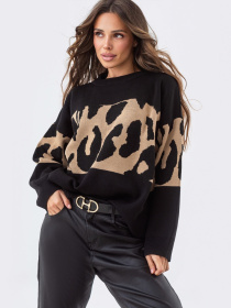 Худи и свитшоты Dressa модель 70865 Фото