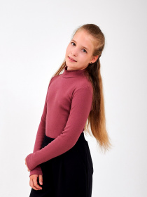 Водолазка SMIL модель smil_102778-slivovyj Водолазка SMIL модель smil_102778-slivovyj Фото