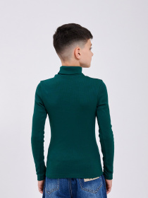 Водолазка SMIL модель smil_114028-zelenyj Водолазка SMIL модель smil_114028-zelenyj Фото