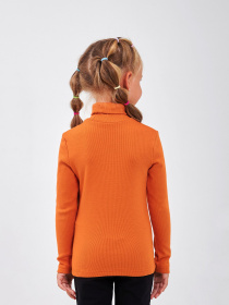 Водолазка SMIL модель smil_114019-oranzevyj Фото