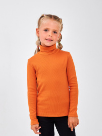 Водолазка SMIL модель smil_114019-oranzevyj Фото