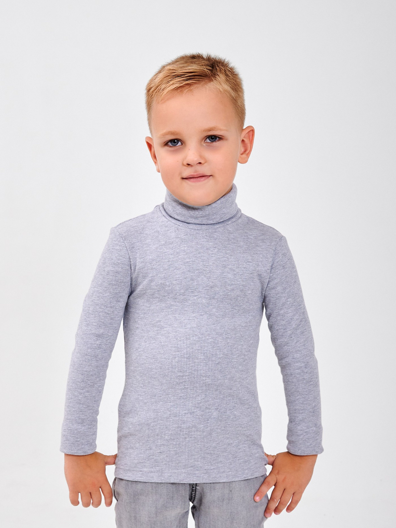 Водолазка SMIL модель smil_114027-seryj-melanz Фото