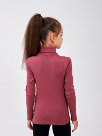 Водолазка SMIL модель smil_114020-slivovyj Фото