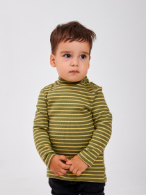 Водолазка SMIL Модель smil_114025-poloska-haki Фото