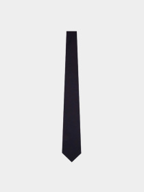 Галстуки и воротнички Emporio Armani модель 340075-CC113-00036 Фото