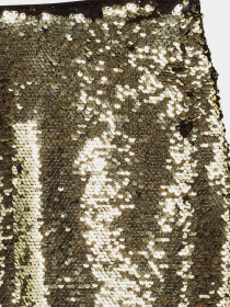 Спідниця міні H&M модель 4879004dm_золотистый черный Фото