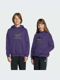 Худи и свитшоты Adidas модель JV8653-KZ Фото