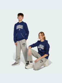 Брюки Adidas модель JW2386-KZ Фото