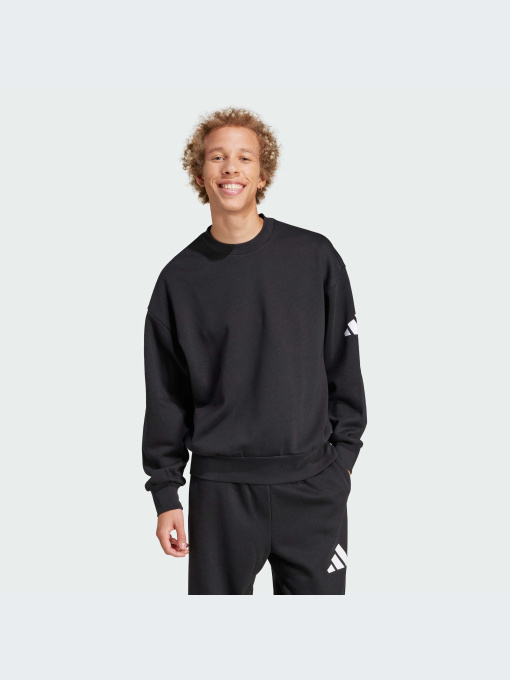 Худи и свитшоты Adidas модель JF3542-KZ Фото