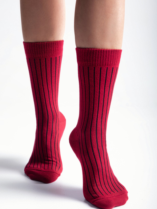 Шкарпетки Gepur Модель 47881 Фото