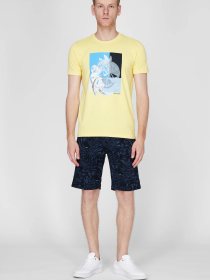 Повсякденні шорти Pierre Cardin модель C3 34780.2018.6227 Фото