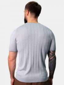 Футболки и поло Gran Sasso модель 8916 Футболки и поло Gran Sasso модель 8916 Фото