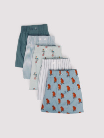 Набір трусів SPRINGFIELD модель 1162681-15 Фото