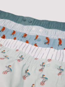 Набір трусів SPRINGFIELD модель 1162681-15 Фото